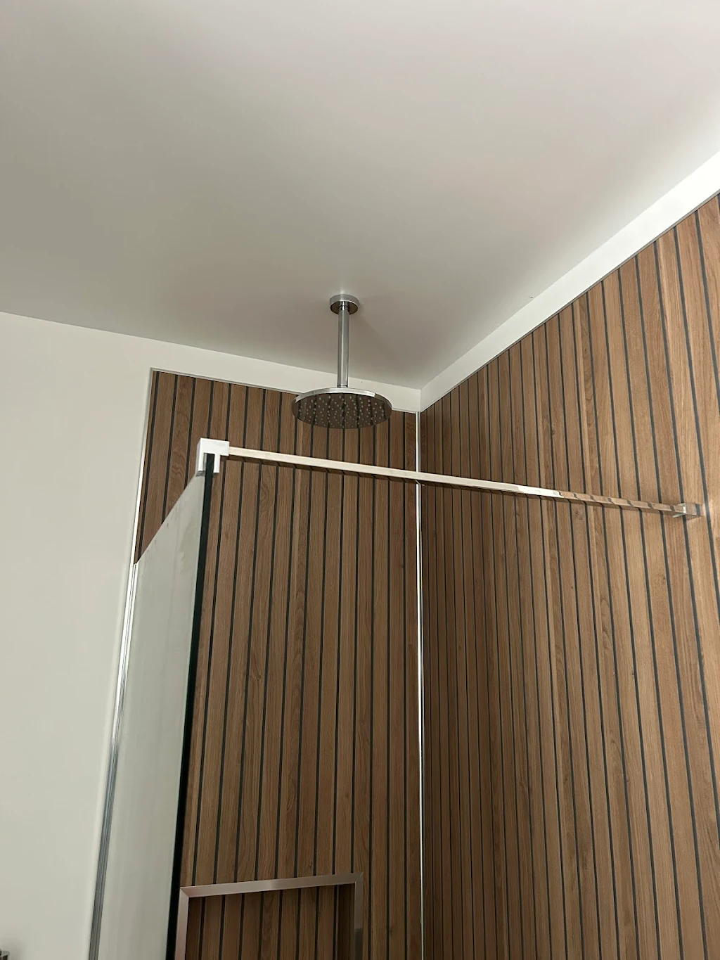 Modern bathroom shower installation with rainfall showerhead